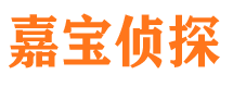 光山市调查取证